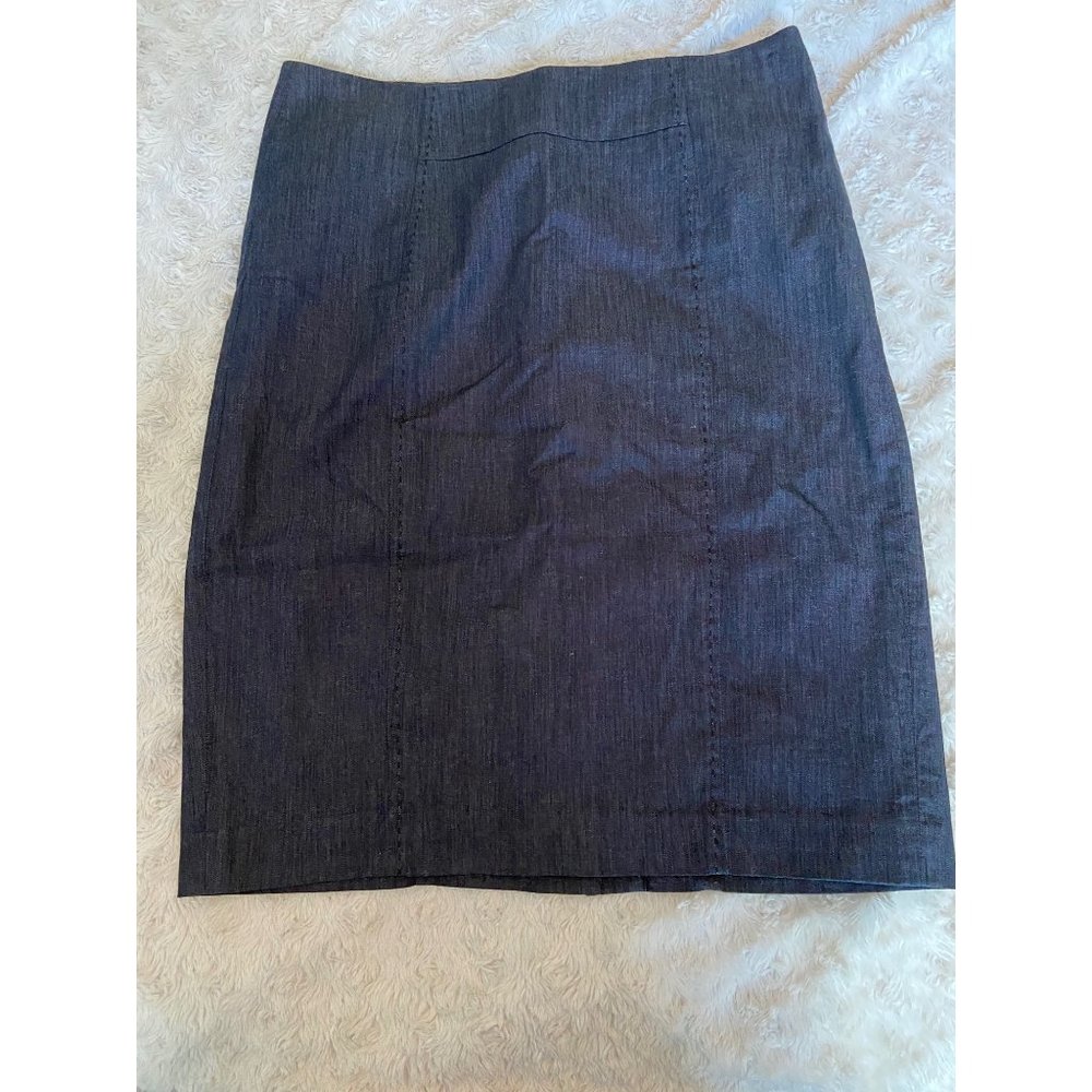 Ann Taylor Loft Knee Length Gray Pencil Skirt Woman’s Size 6